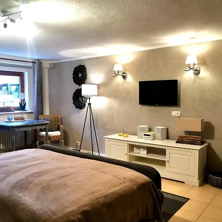 Haus Im Arnikagrund - Ferienwohnung&Privatzimmer Braunlage Exterior foto